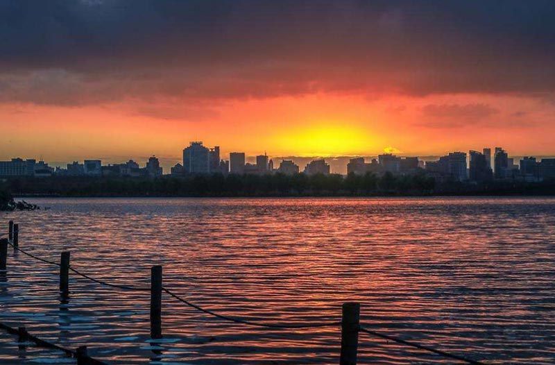 墅說|品色眾生相